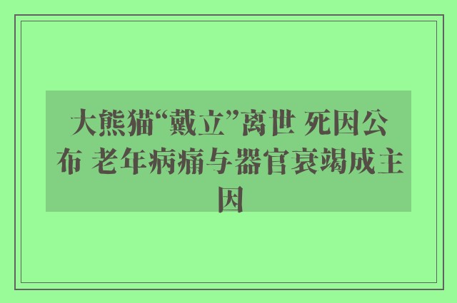 大熊猫“戴立”离世 死因公布 老年病痛与器官衰竭成主因