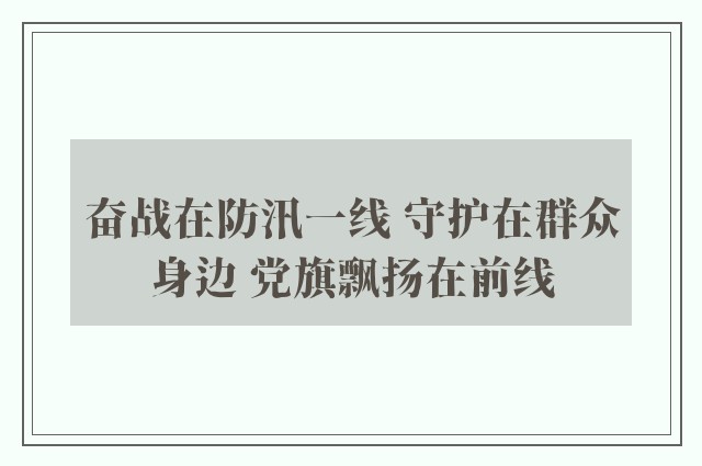 奋战在防汛一线 守护在群众身边 党旗飘扬在前线