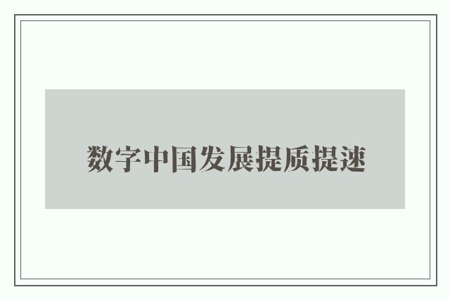 数字中国发展提质提速