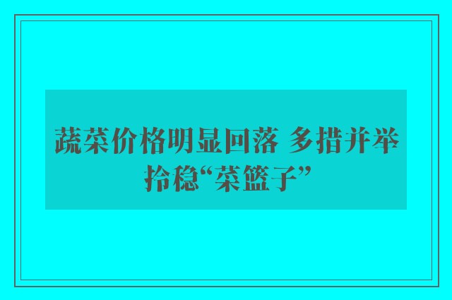 蔬菜价格明显回落 多措并举拎稳“菜篮子”