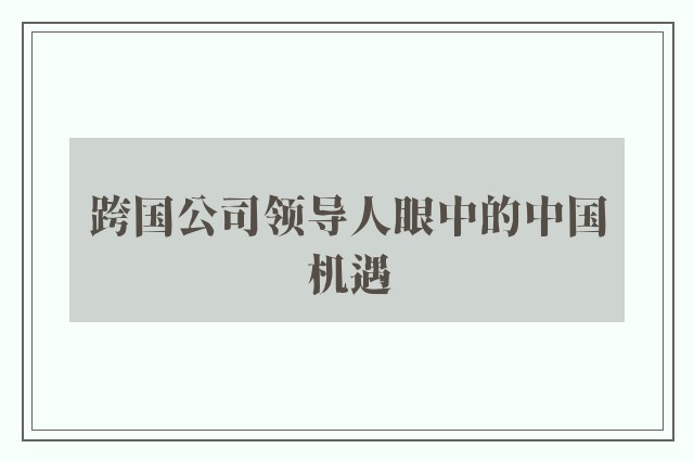 跨国公司领导人眼中的中国机遇