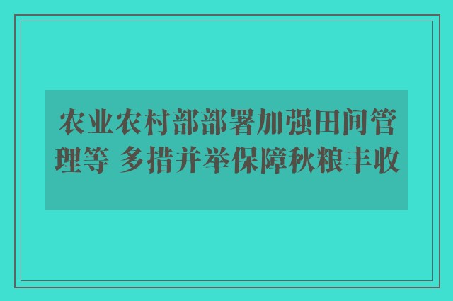 农业农村部部署加强田间管理等 多措并举保障秋粮丰收