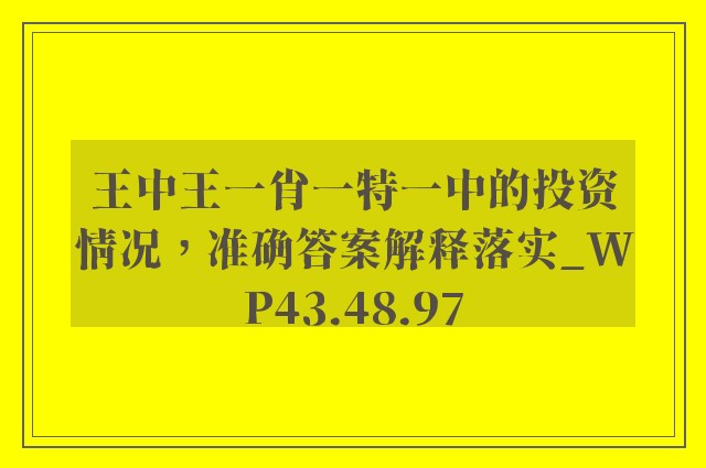 王中王一肖一特一中的投资情况，准确答案解释落实_WP43.48.97