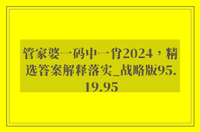 管家婆一码中一肖2024，精选答案解释落实_战略版95.19.95